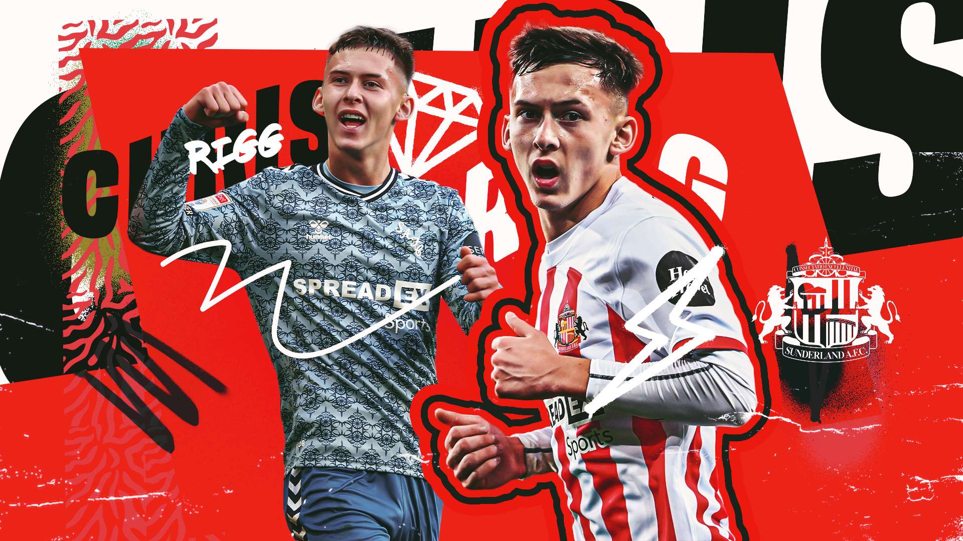 以确保政策 以确保政策