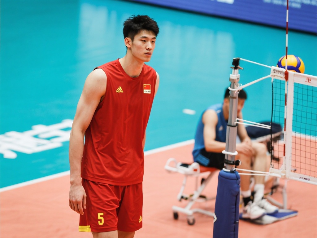 每支球队将 每支球队将